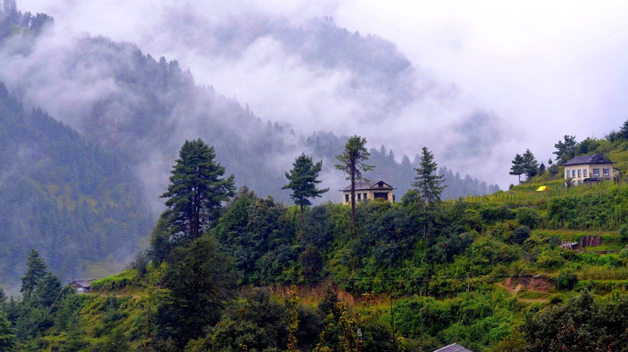 riforestazione-nepal