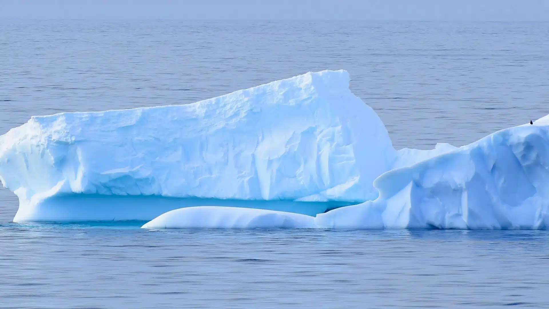 Presenza di plutonio negli strati ghiacciati dell’Antartide: una scoperta scientifica significativa