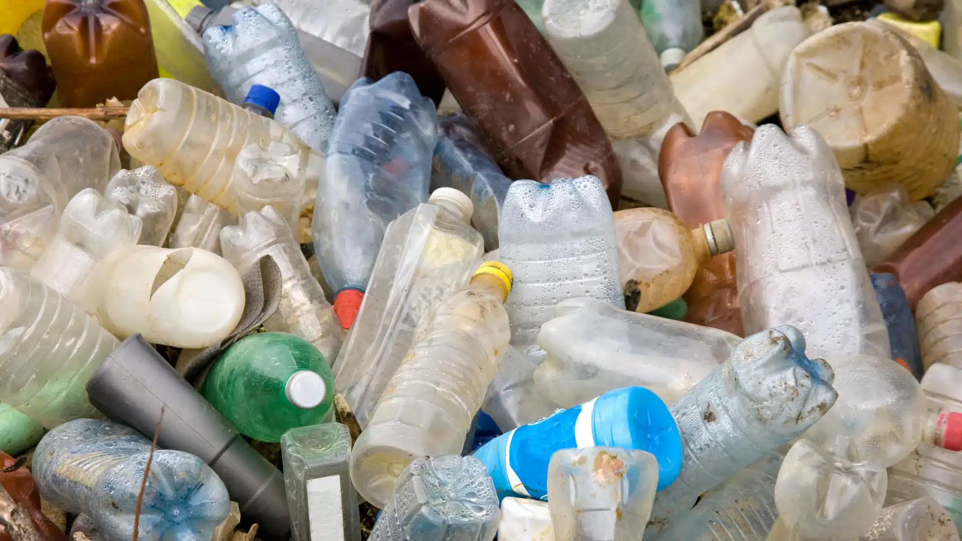 Microbi mangia plastica, nuova scoperta sulle Alpi
