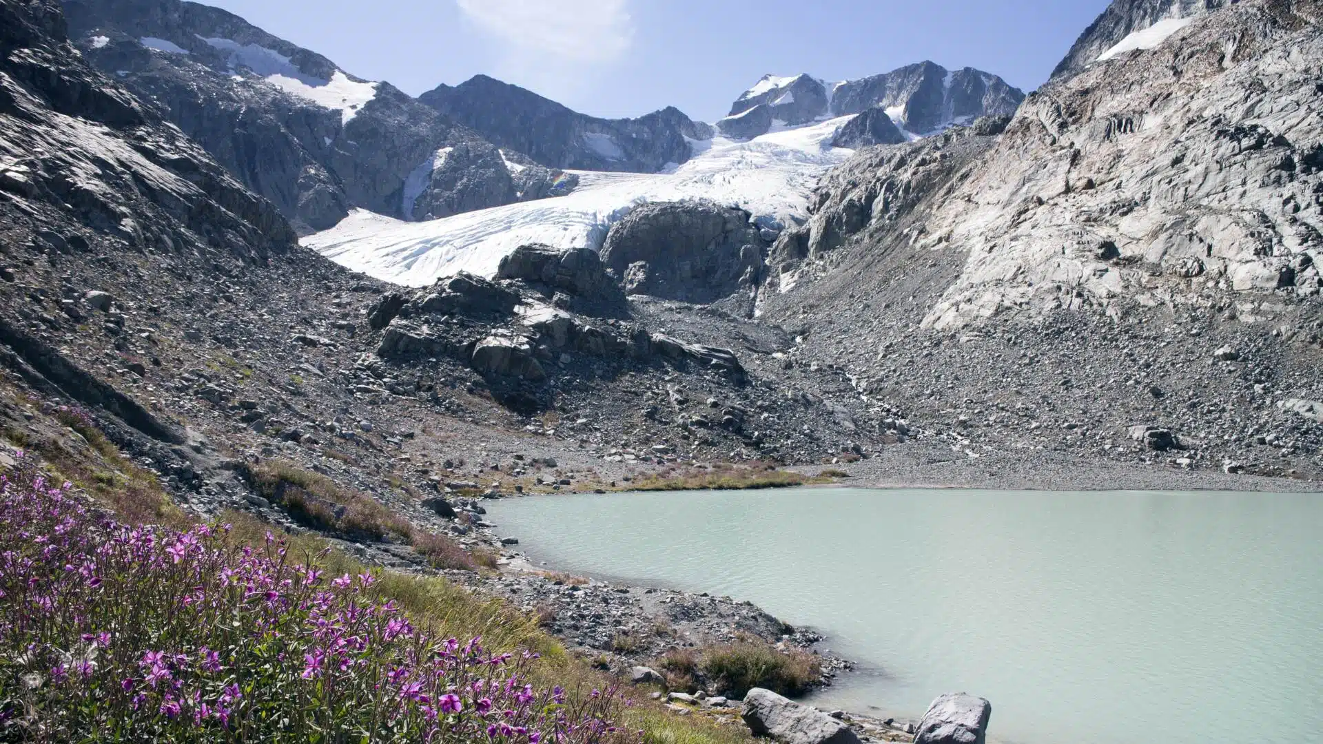 Biodiversità a rischio sulle Alpi a causa dello scioglimento dei ghiacciai
