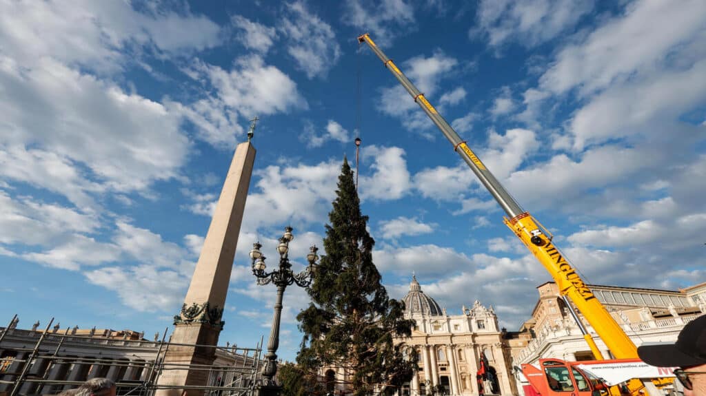 L'albero in Vaticano. Foto Facebook Regione Piemonte