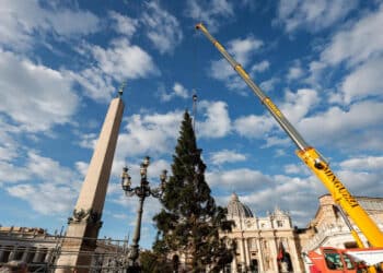 L'albero in Vaticano. Foto Facebook Regione Piemonte