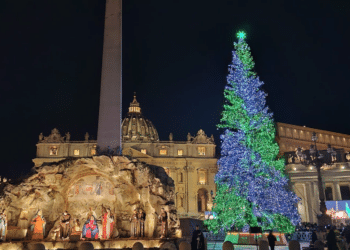 Vaticano: acceso l’albero della Valle Maira
