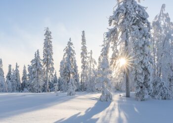 Natale senza neve, dovremo farci l’abitudine?