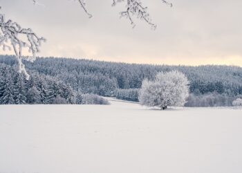 Perché la neve è bianca?